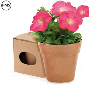 Bloemen in een potje Vera