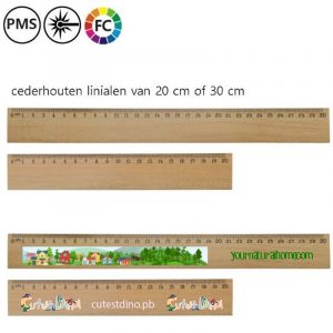 Bedrukte houten linialen Ceder