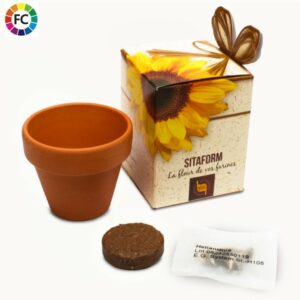 Bloempotjes met zaad in custom box Floria