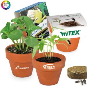 Terracottapotjes kweekset bovenwikkel