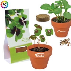 Terracottapotjes kweekset in geschenkverpakking