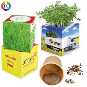 Plantenkubus met cup