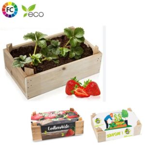 Kweetset houten kistje