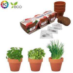 Kweekset terracottapotjes Trio
